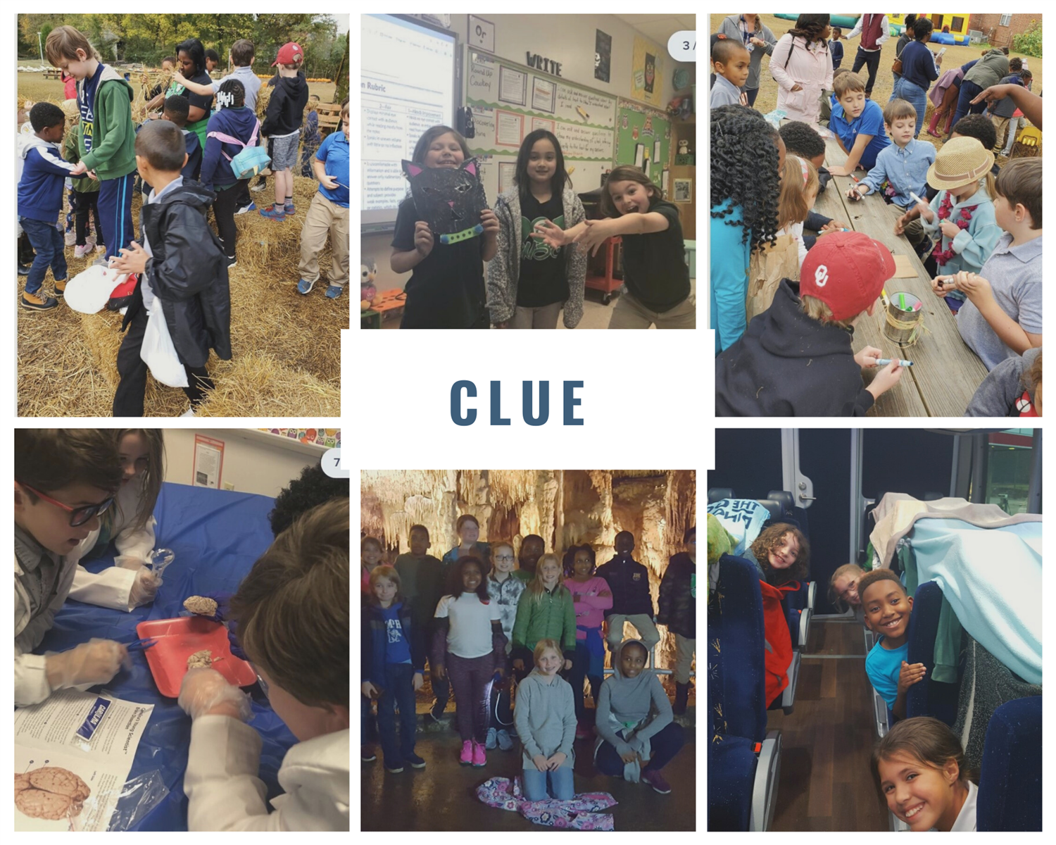 CLUE